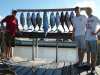 Blackfin Tuna and Kingfish